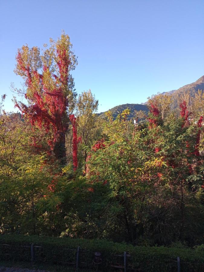 Liebesnest Am Maggiafluss Διαμέρισμα Solduno Εξωτερικό φωτογραφία